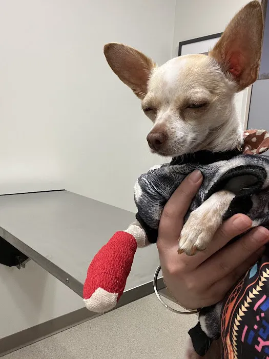 VetMED Emergency & Specialty Veterinary Hospital Picture 5