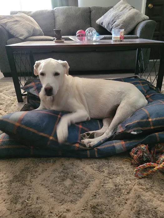 Moon Valley Animal Hospital Picture 5