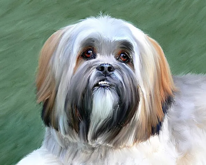 Moon Valley Animal Hospital Picture 4