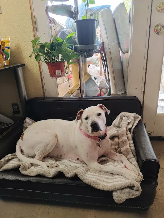 Banfield Pet Hospital Picture 2