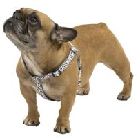 Banfield Pet Hospital ico