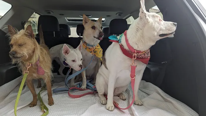 Deer Creek Animal Hospital & Pet Resort Picture 10