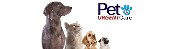 Pet Urgent Care Picture 8