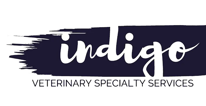 Indigo Veterinary Specialists Picture 1