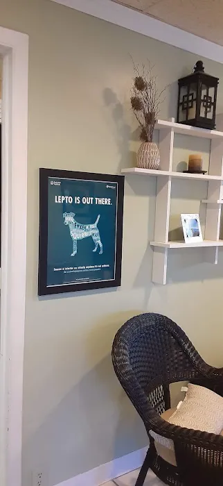 Highland Animal Hospital Picture 6