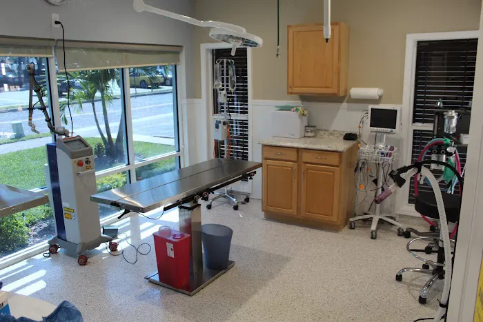 Paws and Claws Animal Medical Center - Dunedin Picture 1