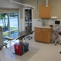 Paws and Claws Animal Medical Center - Dunedin ico