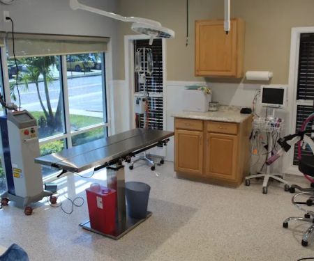 Paws and Claws Animal Medical Center - Dunedin