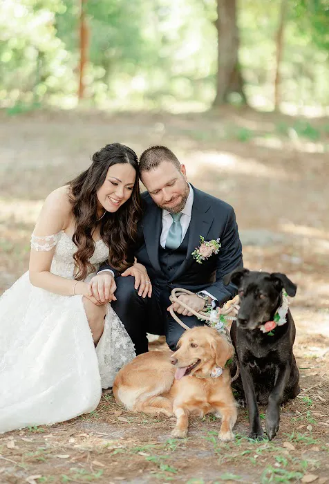 All Pet Care Picture 6