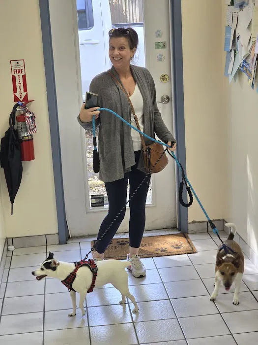 A Pet's Place of Clearwater Picture 10