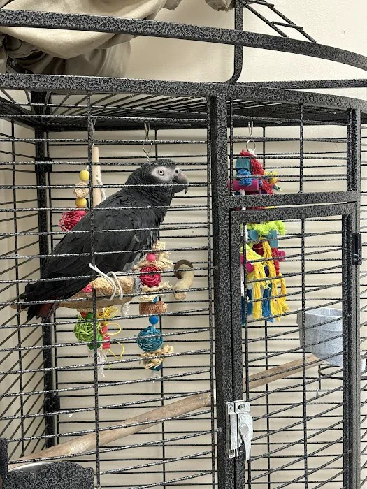 A Pet's Place of Clearwater Picture 3