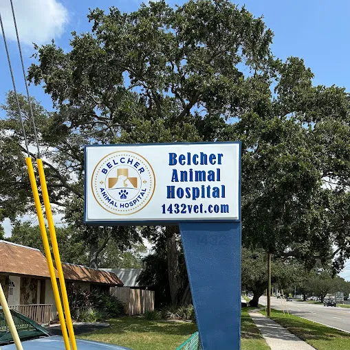Belcher Animal Hospital of Clearwater, FL Picture 1