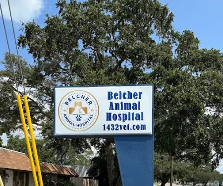 Belcher Animal Hospital of Clearwater, FL