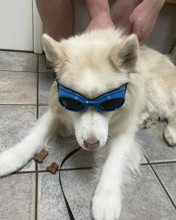 Belcher Animal Hospital of Clearwater, FL Picture 10