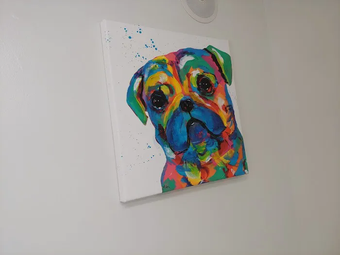 Love Animal Hospital Picture 4