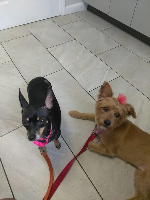 Love Animal Hospital Picture 2