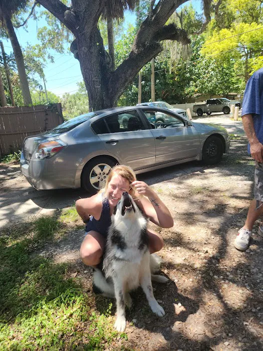 Pasco Animal Hospital Picture 8