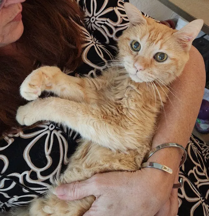 Pasco Animal Hospital Picture 10