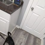 Pasco Animal Hospital