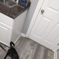 Pasco Animal Hospital ico