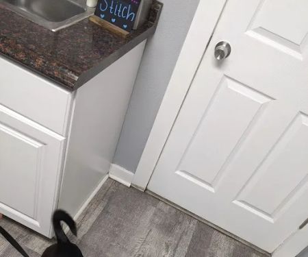 Pasco Animal Hospital