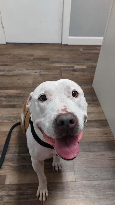 Pasco Animal Hospital Picture 5
