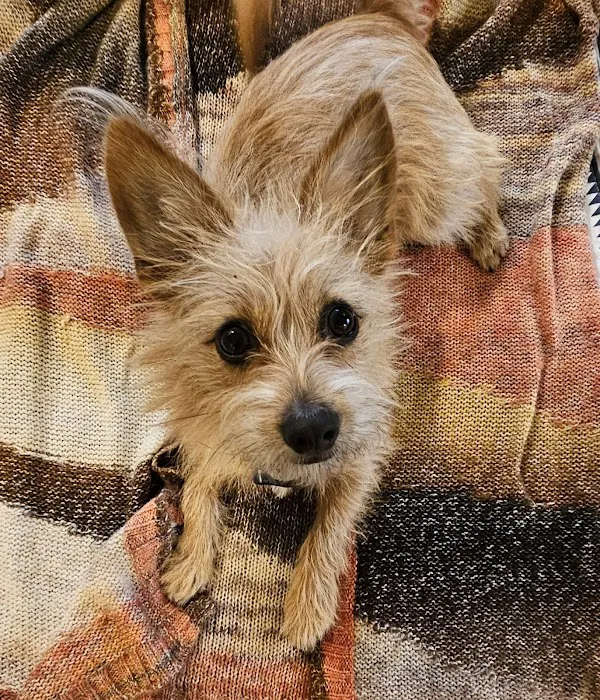 Gulfview Animal Hospital Picture 3