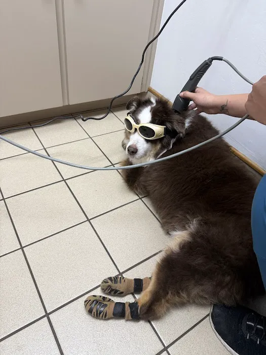 Gulfview Animal Hospital Picture 2