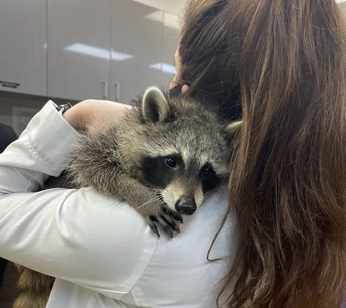 Gulfview Animal Hospital Picture 9