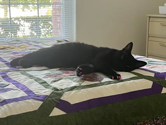 Advanced Pet Care Picture 8