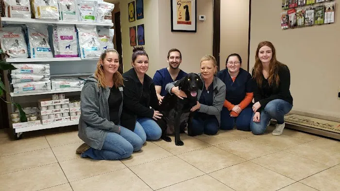 Advanced Pet Care Picture 5
