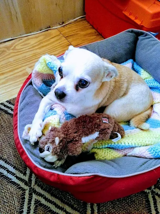 Advanced Pet Care Picture 10