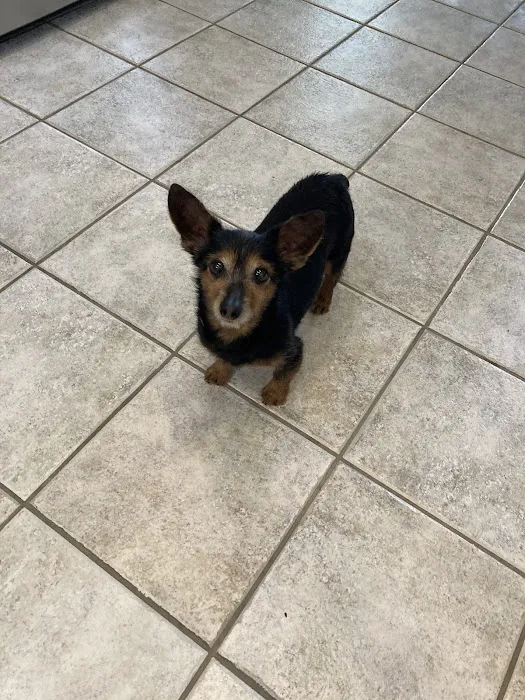 Garrison Animal Hospital Picture 7