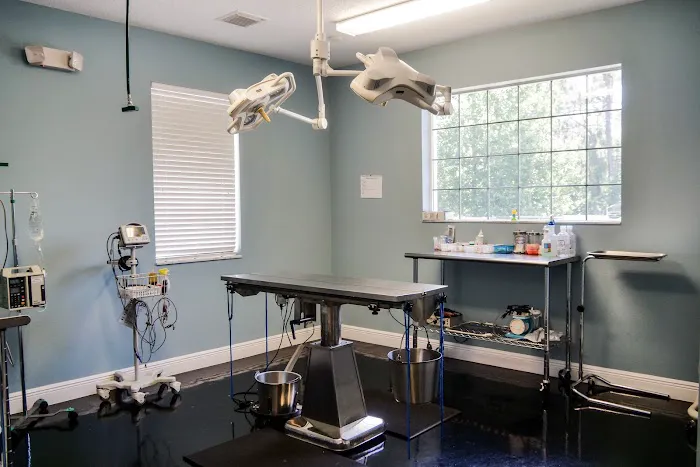 Spring Hill Animal Clinic Picture 5