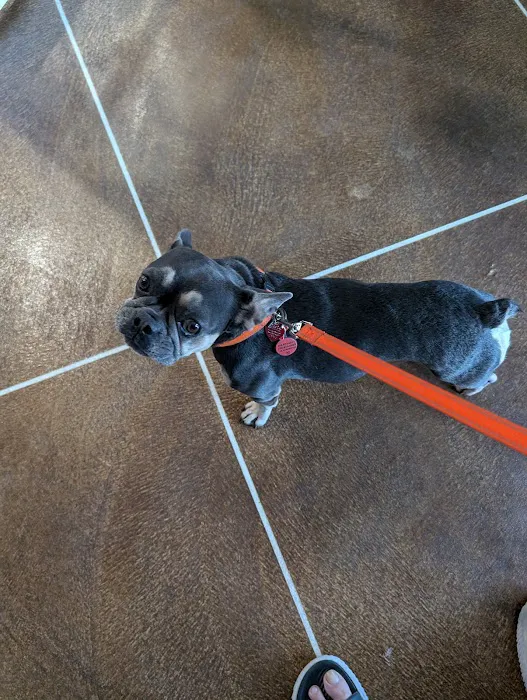 Spring Hill Animal Clinic Picture 2