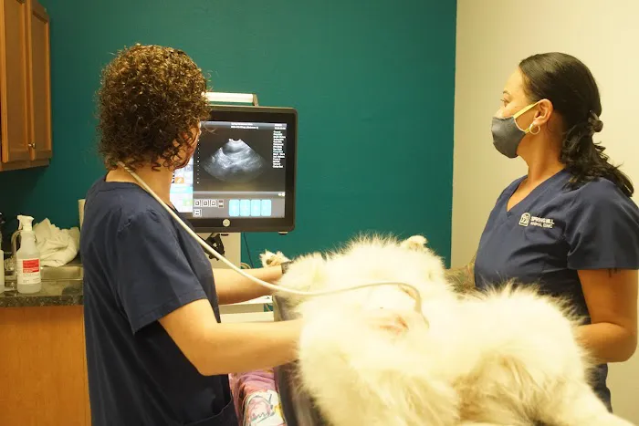 Spring Hill Animal Clinic Picture 3