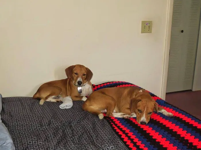Hernando Animal Hospital Picture 5