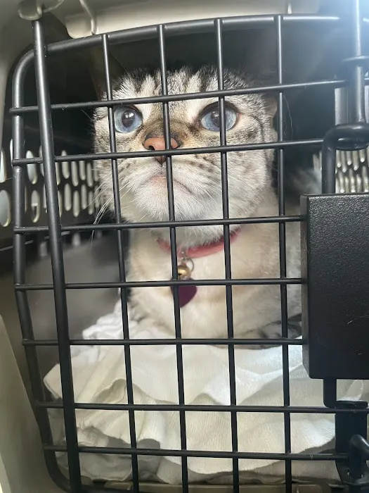 Hernando Animal Hospital Picture 3