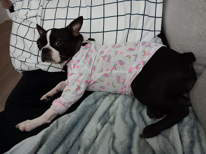Hernando Animal Hospital Picture 4