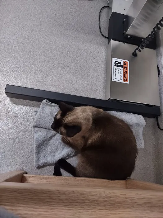 Animal Emergency of Hernando Inc. URGENT CARE. Picture 5