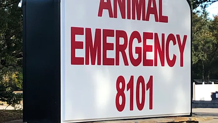 Animal Emergency of Hernando Inc. URGENT CARE. Picture 10