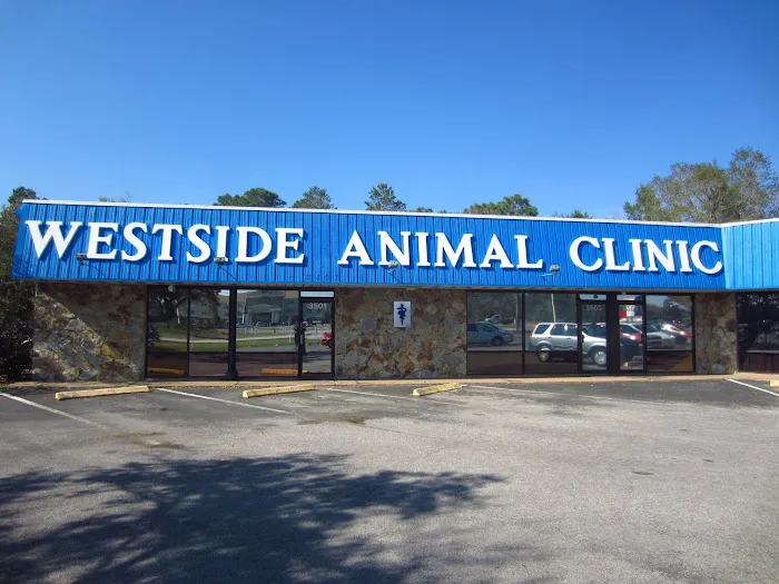Westside Animal Clinic Picture 7