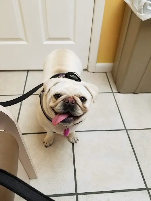 Westside Animal Clinic Picture 3
