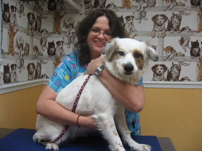 Westside Animal Clinic Picture 6
