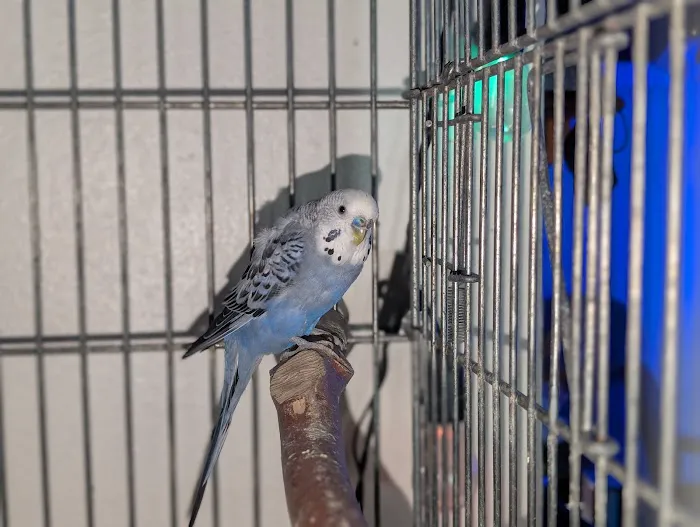 Westside Animal Clinic Picture 2
