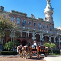 Blue Skies Equine Services Inc ico