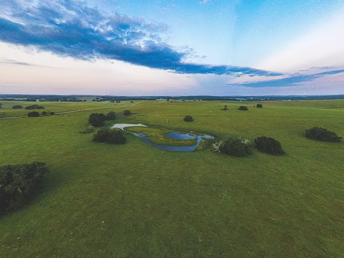Blue Skies Equine Services Inc Picture 6