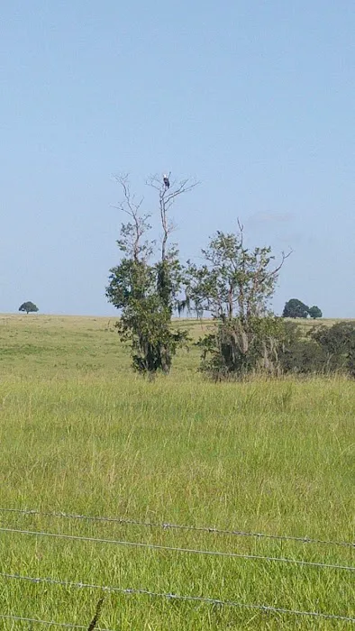 Blue Skies Equine Services Inc Picture 7