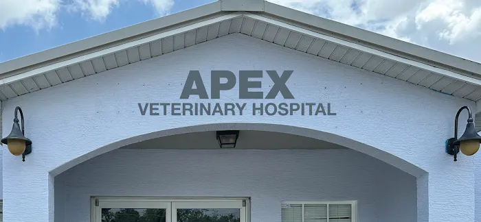 Apex Veterinary Hospital Picture 3