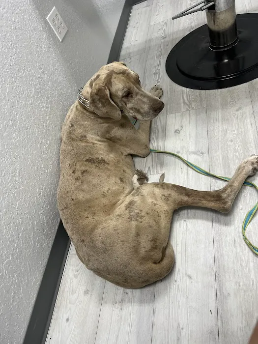 Apex Veterinary Hospital Picture 6